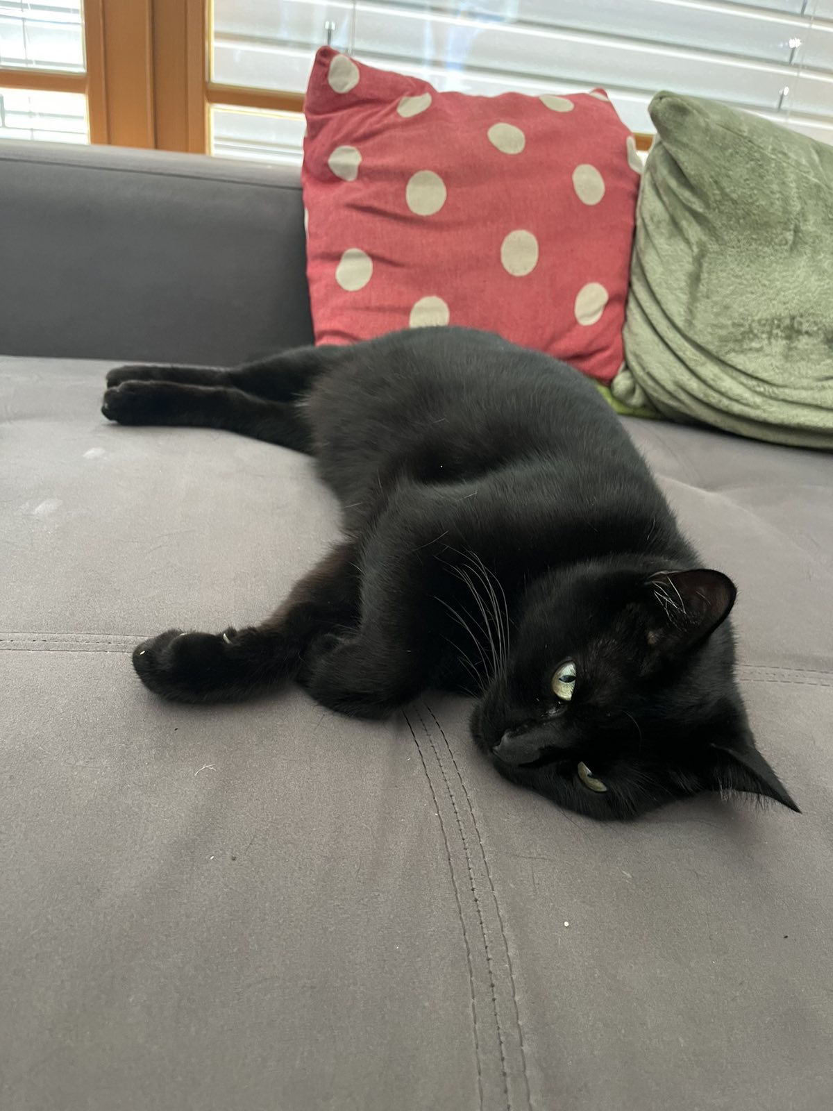 image_2025-08-17_16-41-59-976